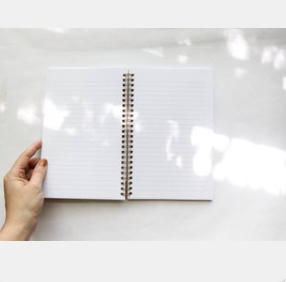 Mushroom & Fungi Spiral Bound Notebook: